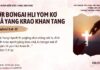 Nơ̆r Bơngai Hli Yom Kơ Kră Yang Krao Khan Tang – 8/1/2025