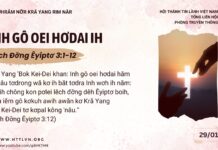 Inh Gô Oei Hơdai Ih – 29/1/2025