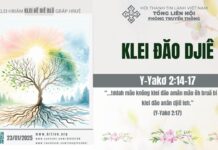 Klei Đăo Djiê – 23/1/2025