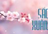 Thơ: SẮC XUÂN