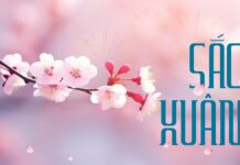 Thơ: SẮC XUÂN