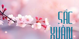 Thơ: SẮC XUÂN