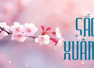 Thơ: SẮC XUÂN