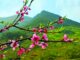 ĐÓN XUÂN THA HƯƠNG – VUI HƯỞNG MÙA XUÂN BẤT TẬN