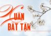 Thơ: XUÂN BẤT TẬN