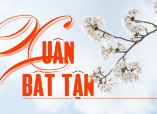 Thơ: XUÂN BẤT TẬN
