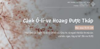 Cành Ô-li-ve Hoang Được Tháp – 12/2/2025