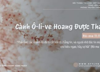 Cành Ô-li-ve Hoang Được Tháp – 12/2/2025