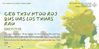 Ceg Txiv Ntoo Roj Qus Uas Los Txuas Rau – 12/2/2025