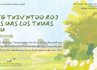 Ceg Txiv Ntoo Roj Qus Uas Los Txuas Rau – 12/2/2025