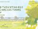 Ceg Txiv Ntoo Roj Qus Uas Los Txuas Rau – 12/2/2025
