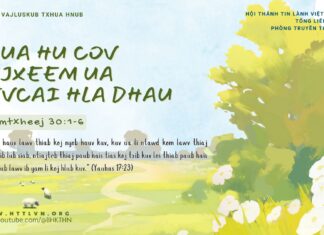 Nqua Hu Cov Pejxeem Ua Kevcai Hla Dhau – 15/2/2025