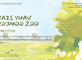 Txais Yuav Txojmoo Zoo – 17/2/2025
