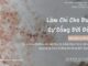Làm Chi Cho Được Sự Sống Đời Đời? – 19/2/2025