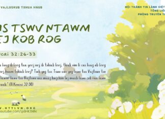 Tus Tswv Ntawm Tej Kob Rog – 25/2/2025