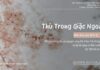 Thù Trong Giặc Ngoài – 7/2/2025