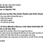 Ảnh chụp màn hình 2025-02-26 103336