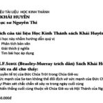 Ảnh chụp màn hình 2025-02-26 103336