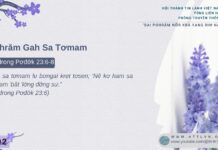 Pơhrăm Gah Sa Tơmam – 16/2/2025