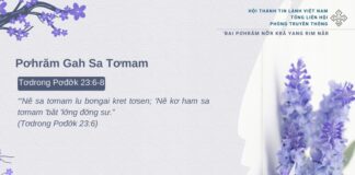 Pơhrăm Gah Sa Tơmam – 16/2/2025