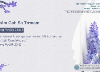 Pơhrăm Gah Sa Tơmam – 16/2/2025