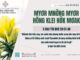 Myơr Mnơ̆ng Myơr Hŏng Klei Hơ̆k Mơak – 14/2/2025