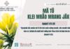 Mă Tŭ Klei Mrâo Mrang Jăk – 17/2/2025