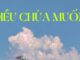 Thơ: ĐIỀU CHÚA MUỐN