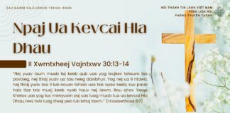 Npaj Ua Kevcai Hla Dhau – 15/3/2025