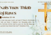 Txais Yuav Thiab Coj Raws – 19/3/2025