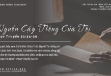 Nguồn Cậy Trông Của Tôi – 24/3/2025