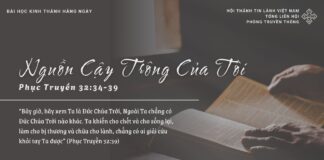 Nguồn Cậy Trông Của Tôi – 24/3/2025