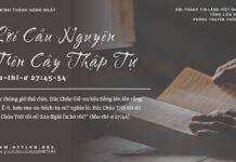 Lời Cầu Nguyện Trên Cây Thập Tự – 8/3/2025