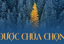 Thơ: ĐƯỢC CHÚA CHỌN
