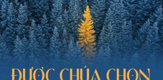 Thơ: ĐƯỢC CHÚA CHỌN