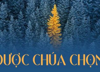 Thơ: ĐƯỢC CHÚA CHỌN
