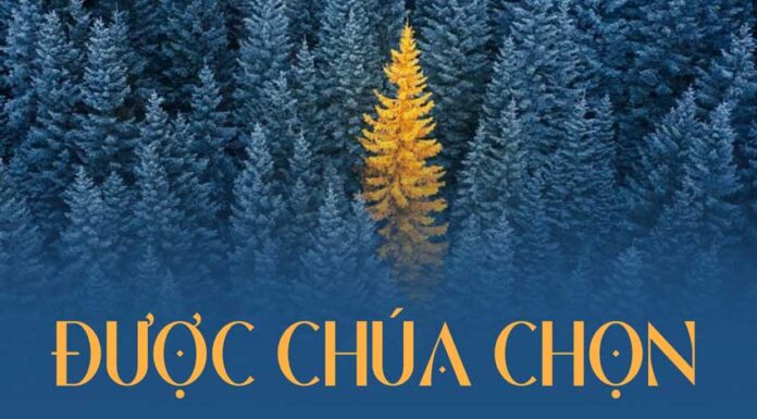 Thơ: ĐƯỢC CHÚA CHỌN