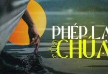 Bài thơ: PHÉP LẠ CỦA CHÚA