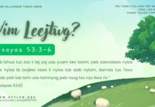 Vim Leejtwg? – 16/4/2025
