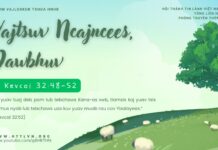 Vajtswv Ncajncees, Dawbhuv – 23/4/2025