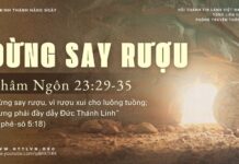 Đừng Say Rượu – 27/4/2025