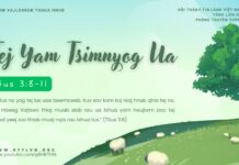 Tej Yam Tsimnyog Ua – 29/4/2025