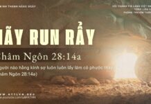 Hãy Run Rẩy – 3/4/2025
