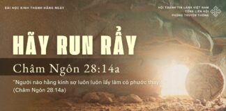 Hãy Run Rẩy – 3/4/2025