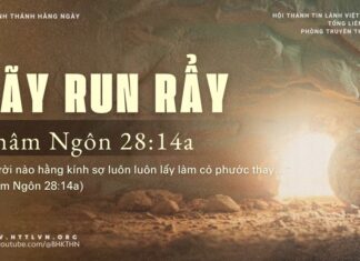 Hãy Run Rẩy – 3/4/2025