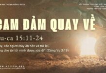 Cam Đảm Quay Về – 6/4/2025