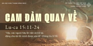 Cam Đảm Quay Về – 6/4/2025