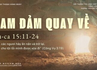 Cam Đảm Quay Về – 6/4/2025