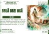 Bruă Brei Ngă – 29/4/2025