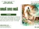 Bruă Brei Ngă – 29/4/2025